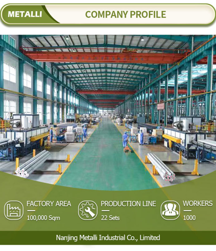 OEM Aluminum Extrusion Profile with Anodizing Surface